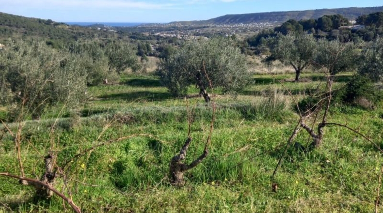 Alicante - Benitachell - 13800m2