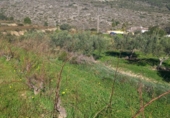 Non-developable land for sale on España, Benitachell, ref: TR116825 photo
