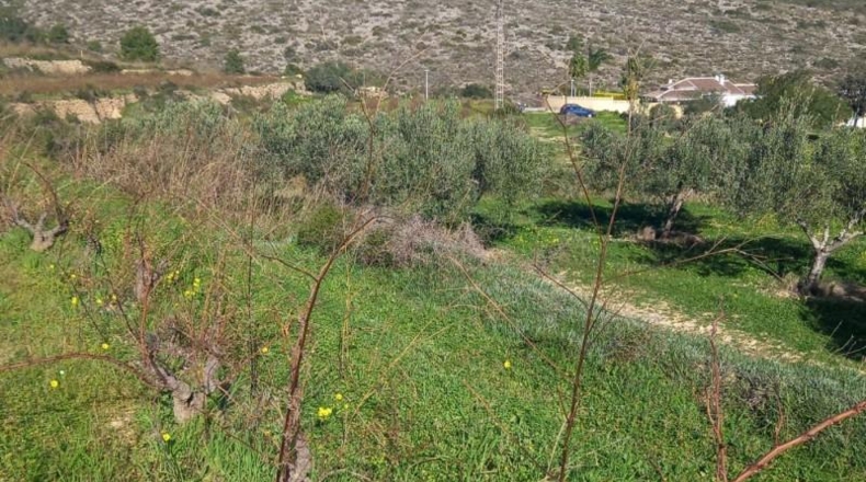 Alicante - Benitachell - 13800m2