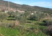 Non-developable land for sale on España, Benitachell, ref: TR116825 photo