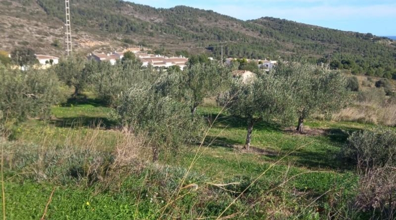 Alicante - Benitachell - 13800m2