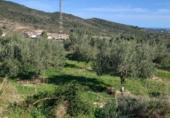 Non-developable land for sale on España, Benitachell, ref: TR116825 photo