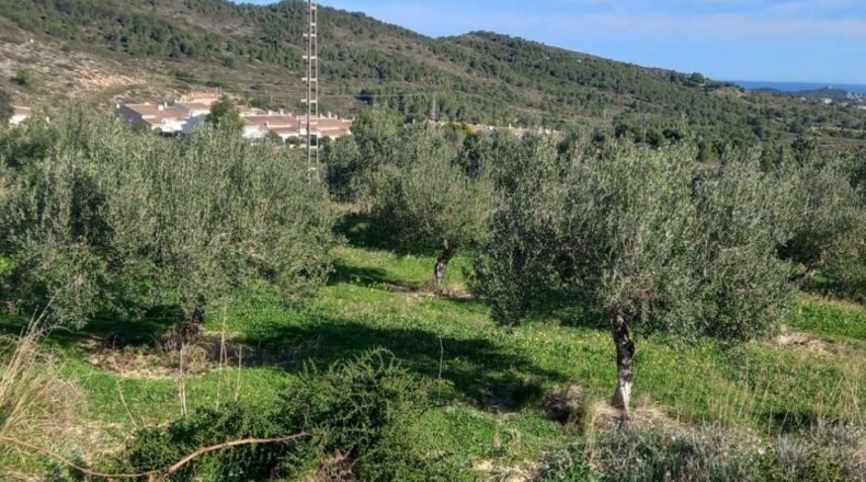 Alicante - Benitachell - 13800m2