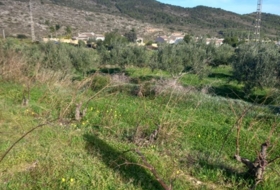 Foto 14