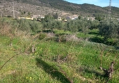 Non-developable land for sale on España, Benitachell, ref: TR116825 photo