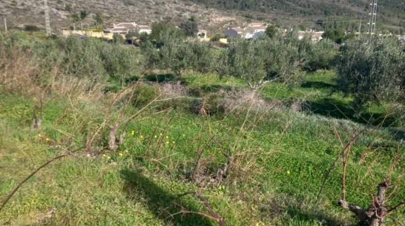 Alicante - Benitachell - 13800m2