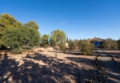 Casa de campo con terreno en venta en la España, Murcia, ref: TR154246 foto