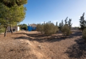 Casa de campo con terreno en venta en la España, Murcia, ref: TR154246 foto