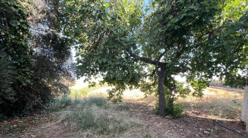 Málaga - Antequera - 2600m2