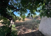 Casa de camp amb terreny en venda a la España, Antequera, ref.: TR166419 foto
