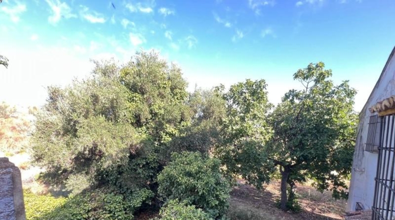 Málaga - Antequera - 2600m2
