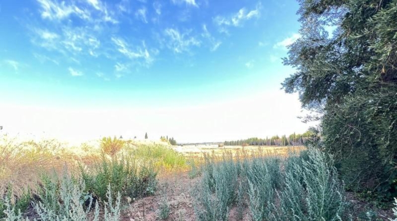 Málaga - Antequera - 2600m2