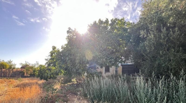 Málaga - Antequera - 2600m2