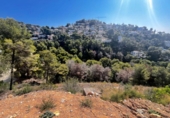 Casa amb terreny en venda a la España, Benissa, ref.: TR303386 foto