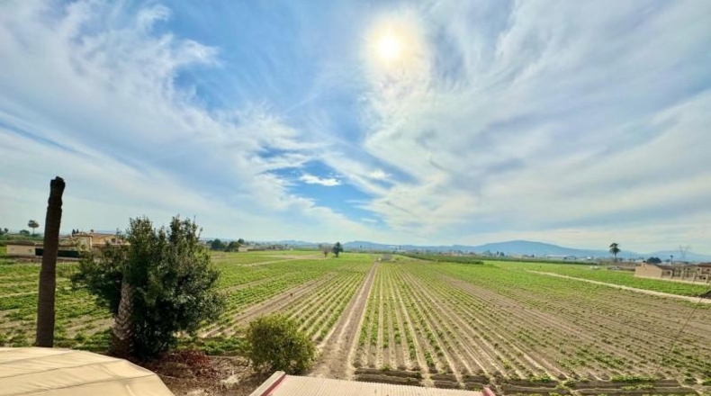 Alicante - San Miguel de Salinas - 480m2