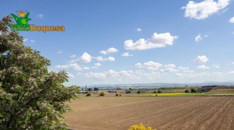 Гранада - Пинос Пуэнте - 770m2