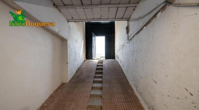 Гранада - Пинос Пуэнте - 770m2