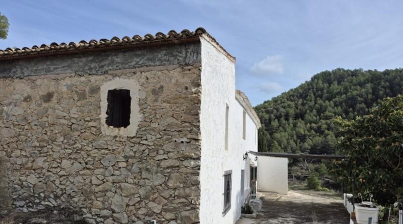 Alicante - Dolores - 63815m2