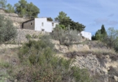 Casa de camp amb terreny en venda a la España, Elx, ref.: TR350016 foto