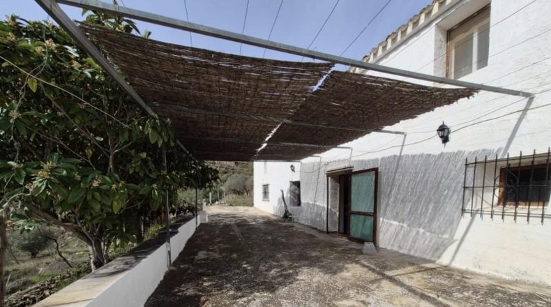 Alicante - Dolores - 63815m2