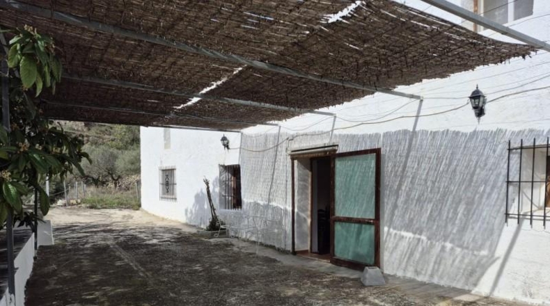 Alicante - Dolores - 63815m2