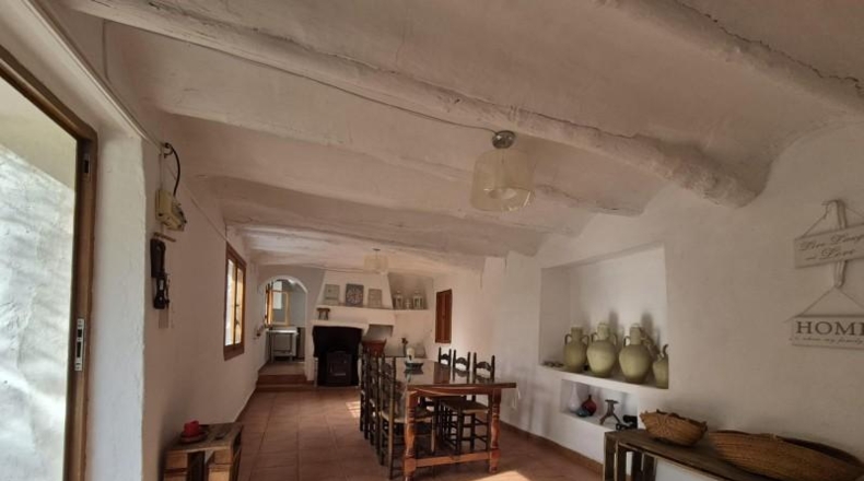 Alicante - Dolores - 63815m2
