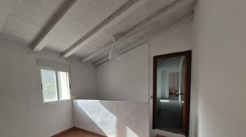 Alicante - Dolores - 63815m2