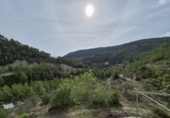 Casa de camp amb terreny en venda a la España, Elx, ref.: TR350016 foto