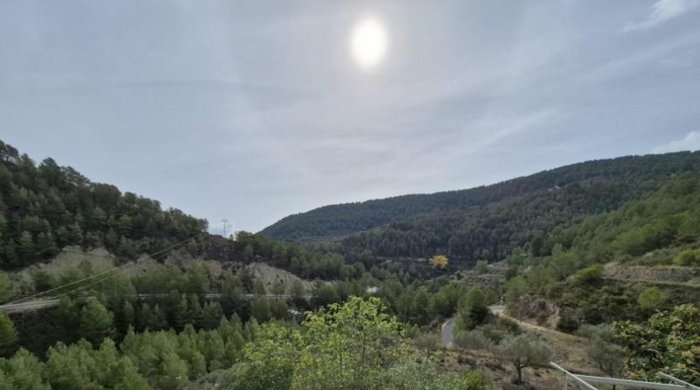 Alicante - Dolores - 63815m2
