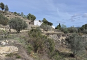 Casa de camp amb terreny en venda a la España, Elx, ref.: TR350016 foto