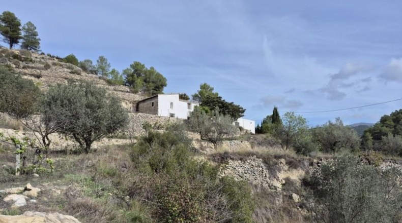 Alicante - Dolores - 63815m2