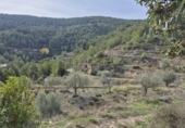 Casa de camp amb terreny en venda a la España, Elx, ref.: TR350016 foto