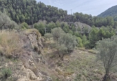 Casa de camp amb terreny en venda a la España, Elx, ref.: TR350016 foto