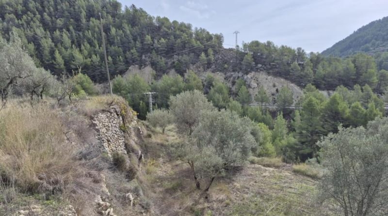Alicante - Dolores - 63815m2