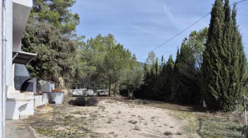 Alicante - Dolores - 63815m2