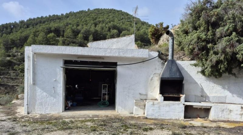 Alicante - Dolores - 63815m2