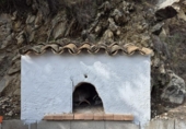 Casa de camp amb terreny en venda a la España, Elx, ref.: TR350016 foto