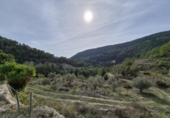 Casa de camp amb terreny en venda a la España, Elx, ref.: TR350016 foto