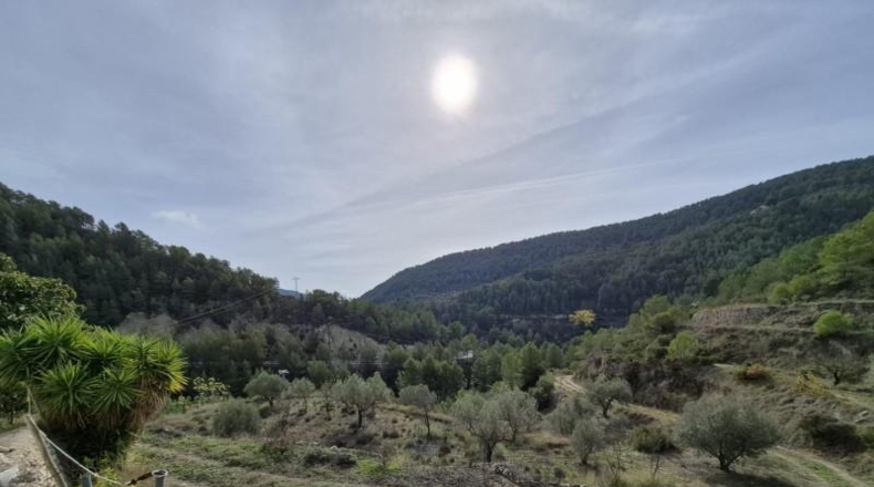 Alicante - Dolores - 63815m2