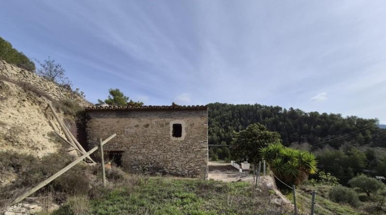 Alicante - Dolores - 63815m2