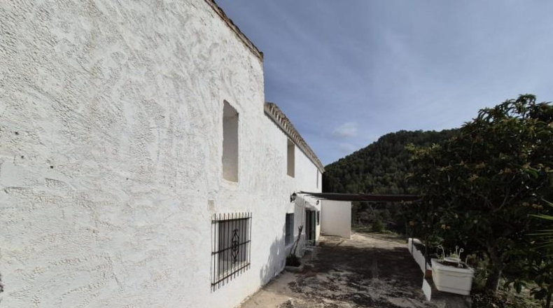 Alicante - Dolores - 63815m2