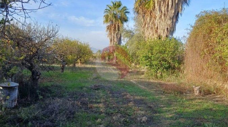 Málaga - Cártama - 2700m2