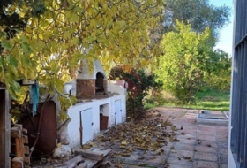 Foto 7