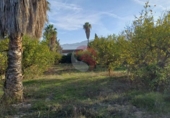 Casa de camp amb terreny en venda a la España, Cártama, ref.: TR367189 foto