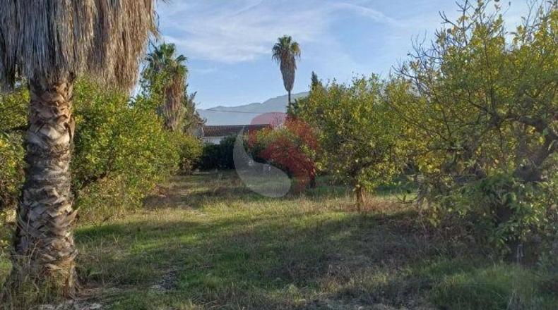 Málaga - Cártama - 2700m2