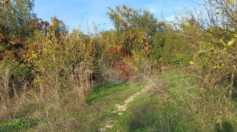 Málaga - Cártama - 2700m2