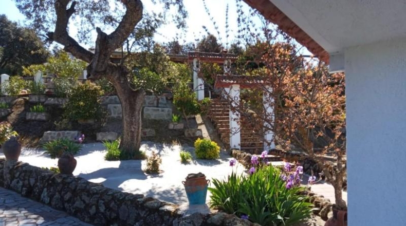 Cáceres - Plasencia - 5500m2