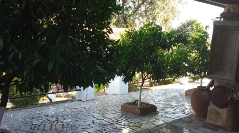 Cáceres - Plasencia - 5500m2