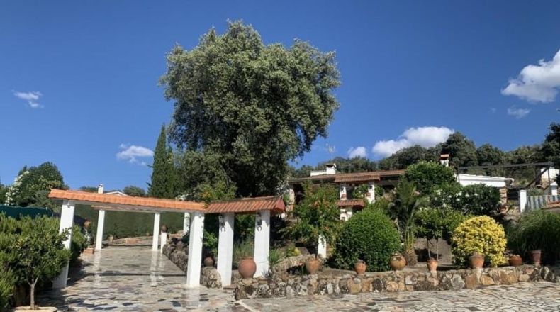 Cáceres - Plasencia - 7698m2
