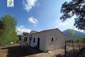 Foto 15
